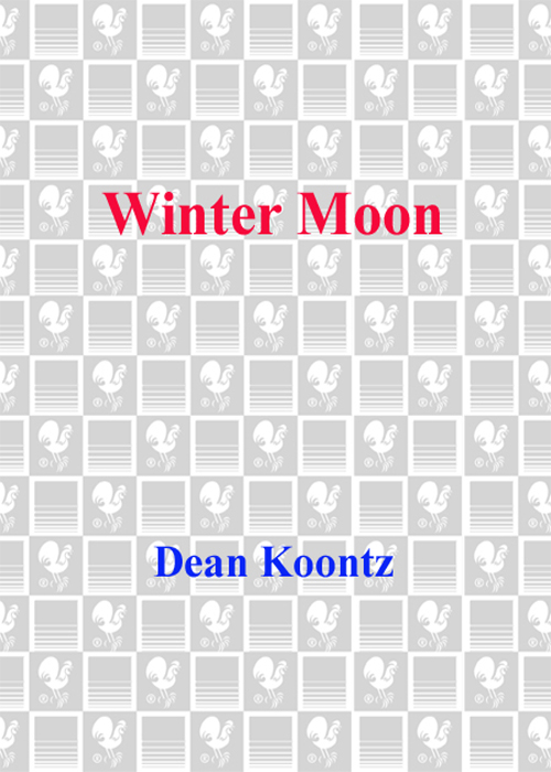 Winter Moon