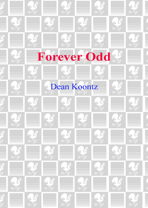 Forever Odd