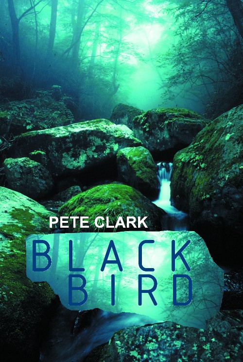 Blackbird