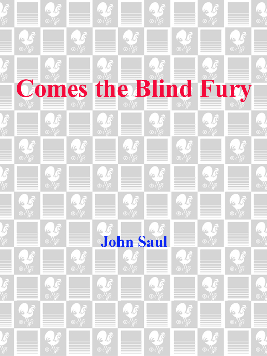 Comes the Blind Fury