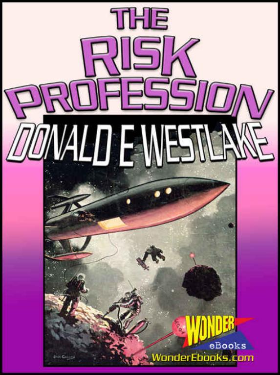 The Risk Profession