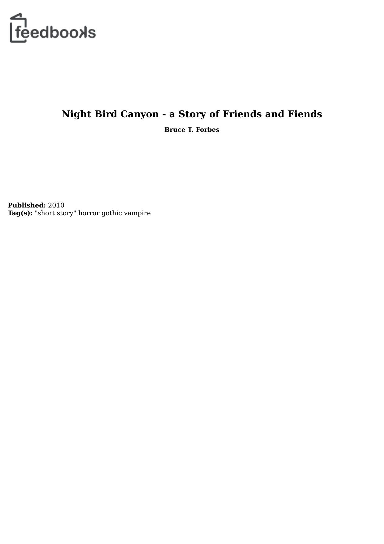 Night Bird Canyon - a Story of Friends and Fiends