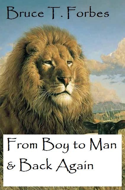 From Boy to Man and Back Again