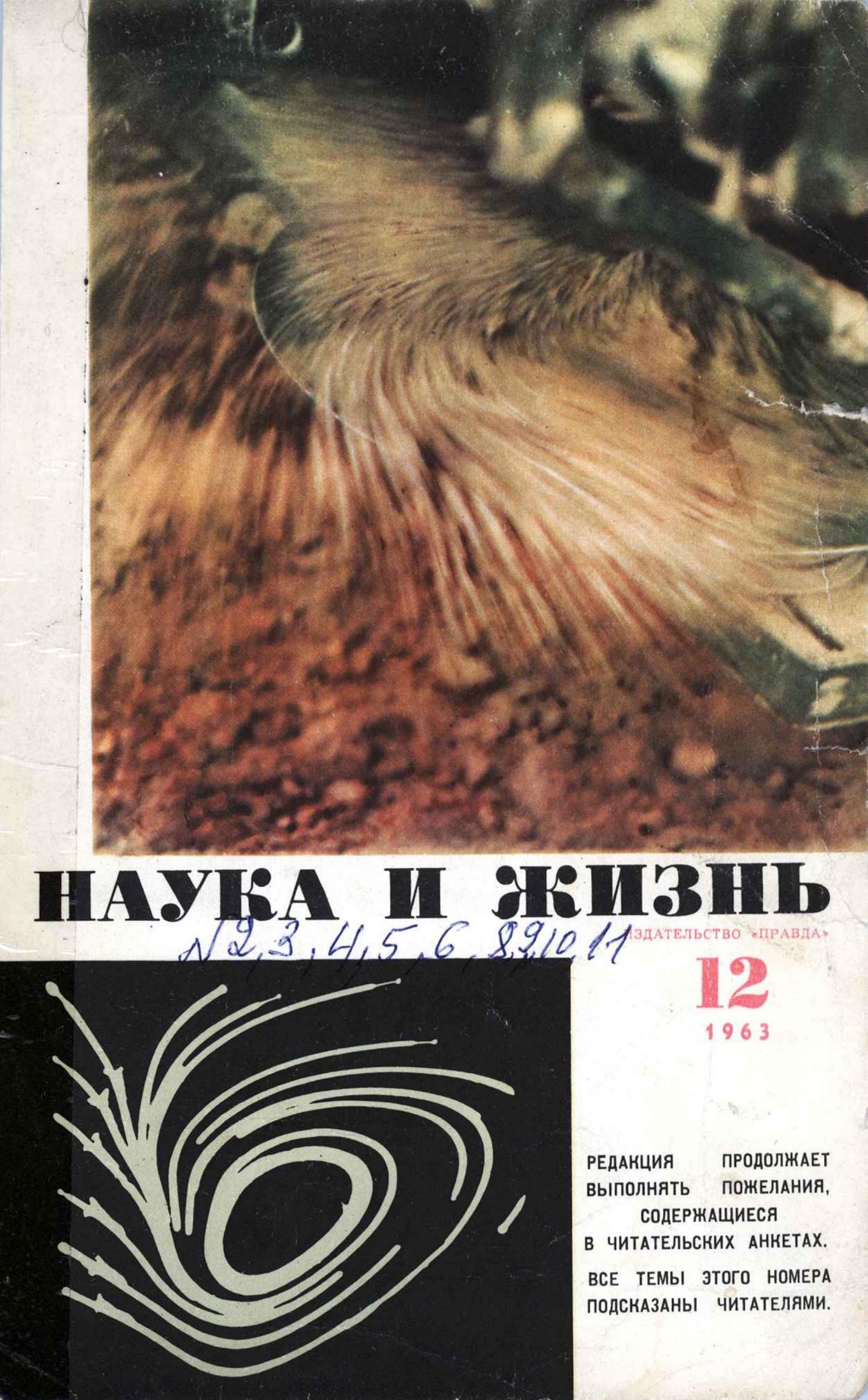 Наука и жизнь #12 1963