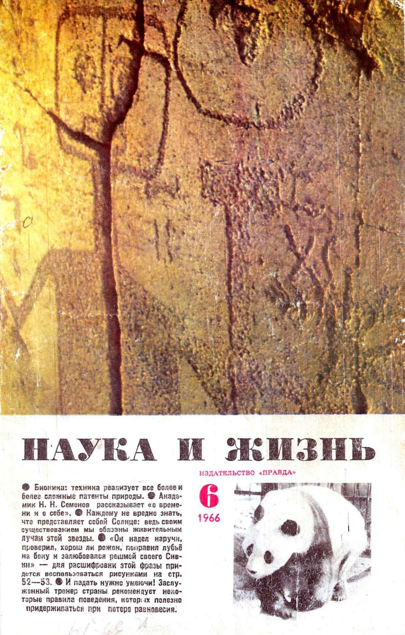 Наука и жизнь #06 1966