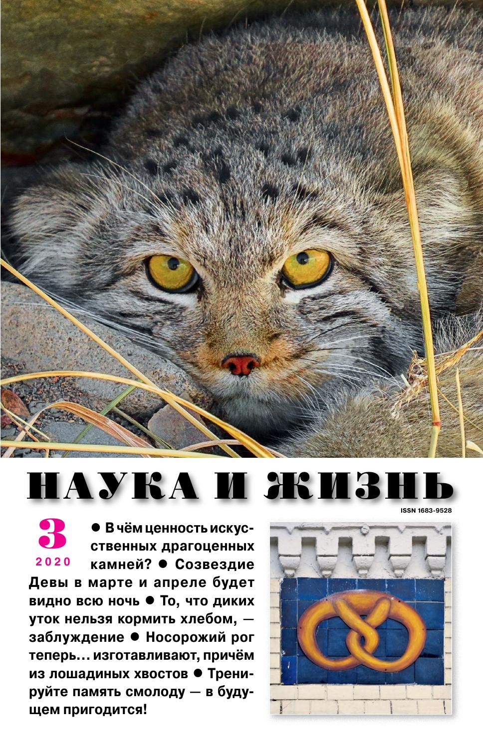 Наука и жизнь #03 2020