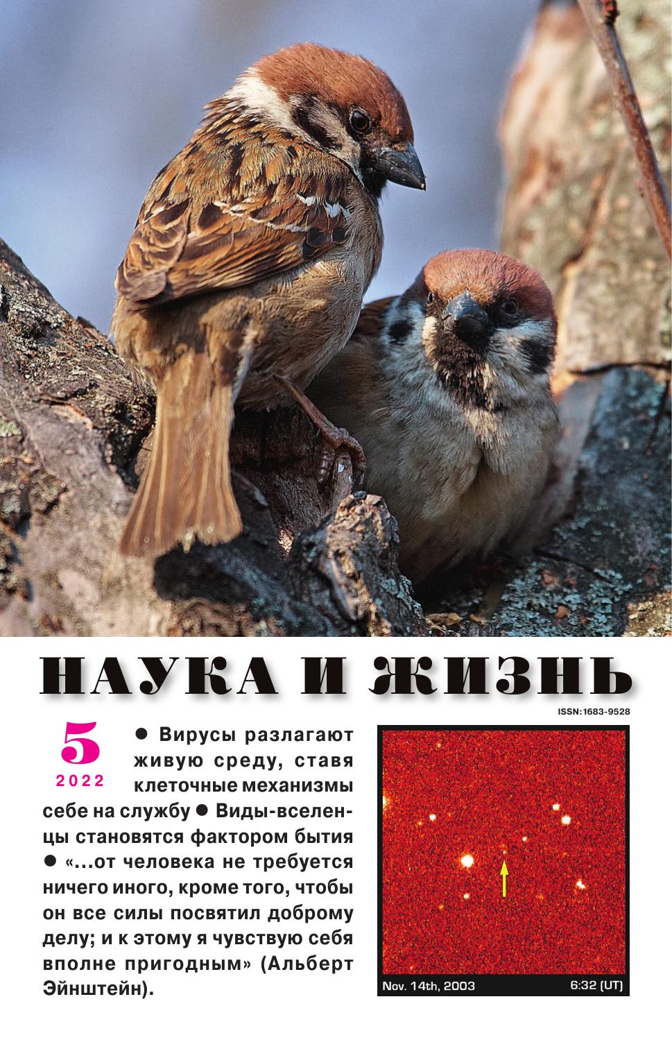 Наука и жизнь #05 2022